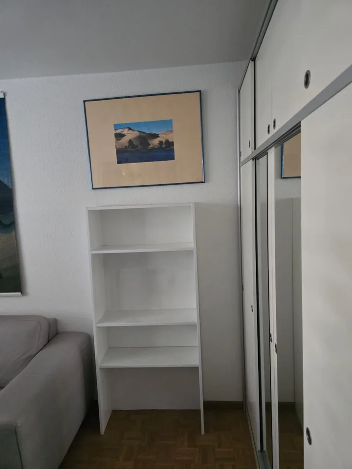 Möbliertes WG-Zimmer in grosser 3er-WG in Zürich-Höngg - ruhig und im Grünen