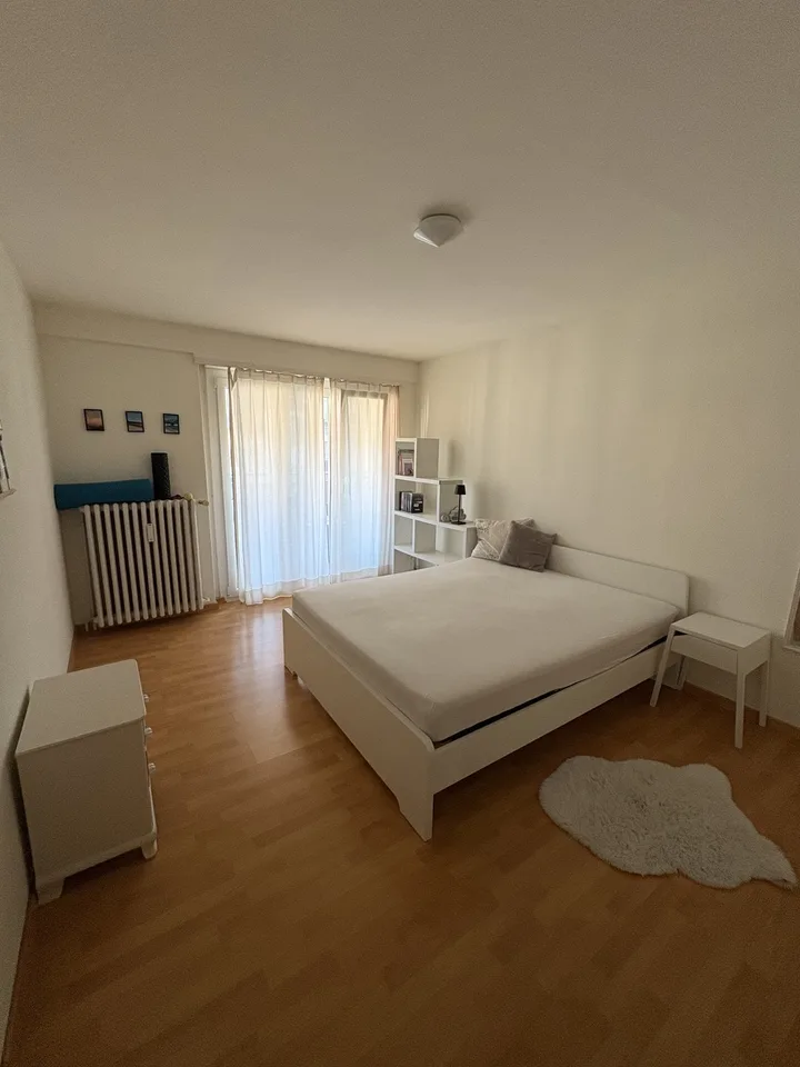 Altbauwohnung im Herzen von Luzern