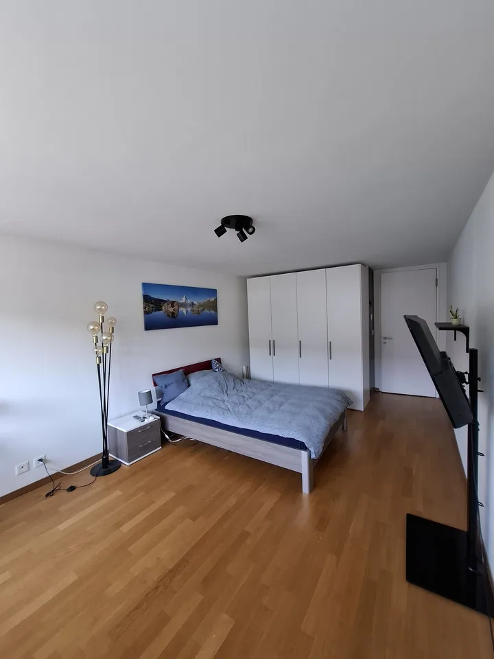 WG Zimmer Luzern (Ende September bis Ende Dezember)