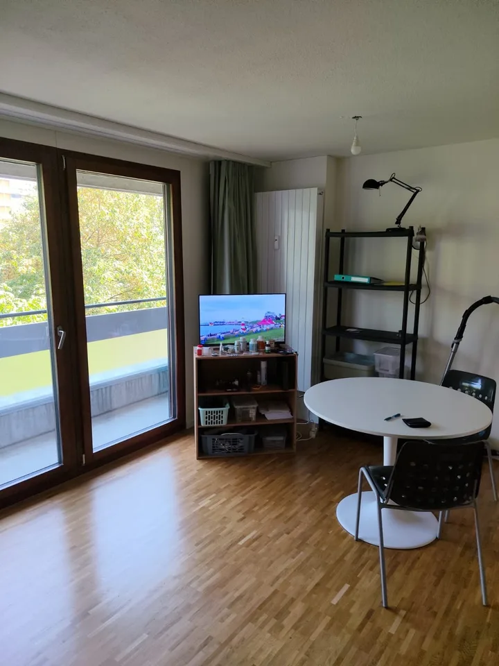 1.5 Zimmer Wohnung