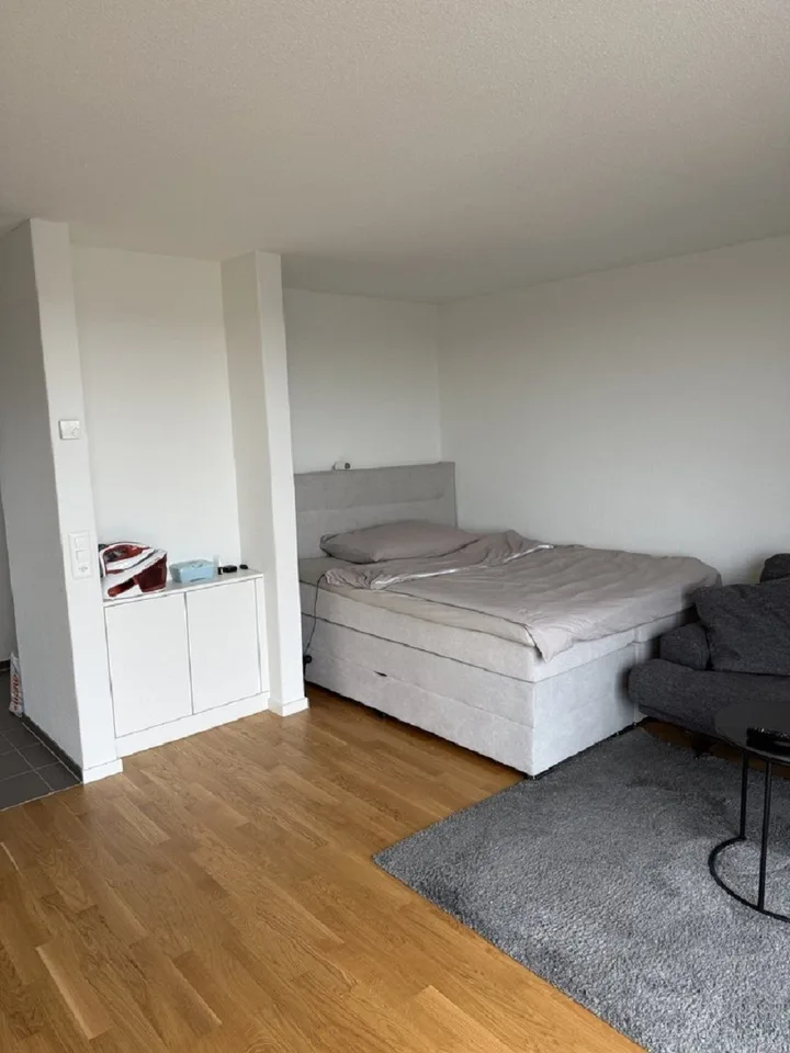Moderne 1-Zimmer-Wohnung mit Balkon in Solothurn – sofort verfügbar!