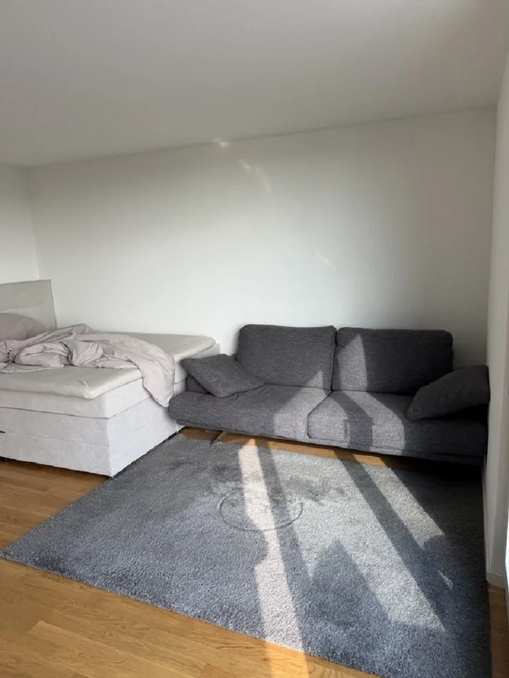 Moderne 1-Zimmer-Wohnung mit Balkon in Solothurn – sofort verfügbar!
