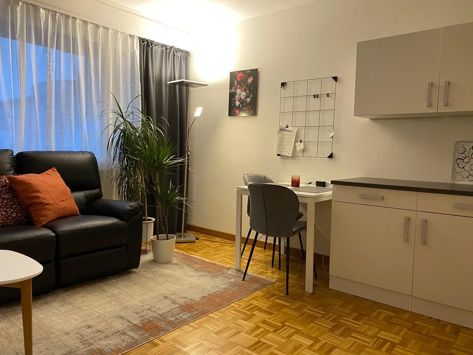 Möblierte 1-Zimmerwohnung in der Länggasse