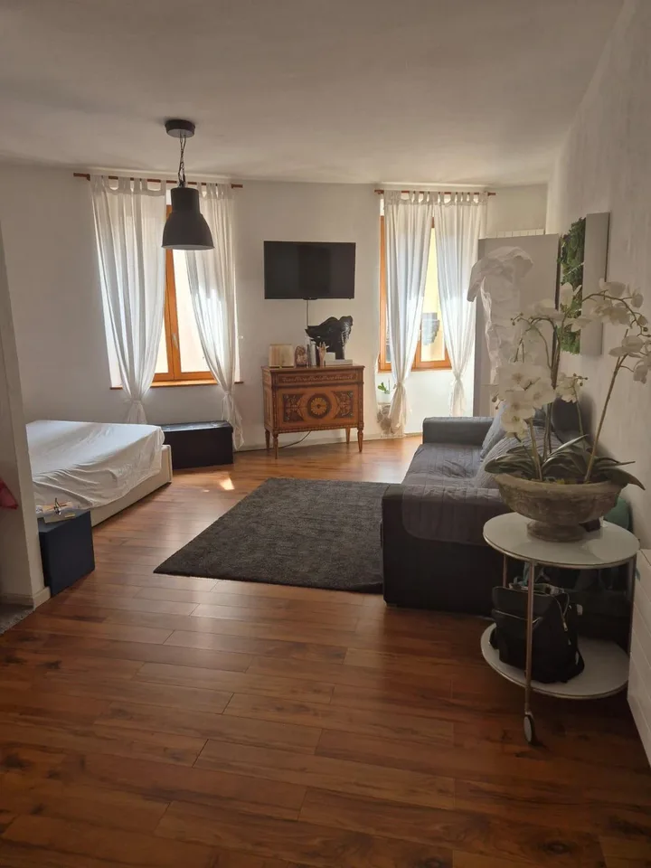 Ampio monolocale arredato a Massagno