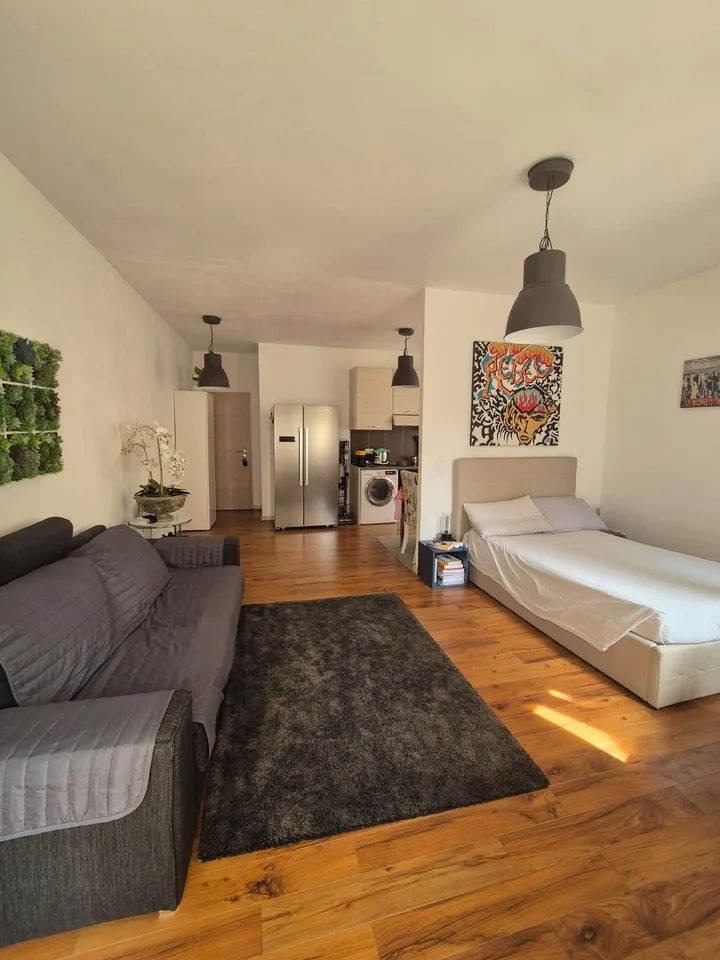 Ampio monolocale arredato a Massagno