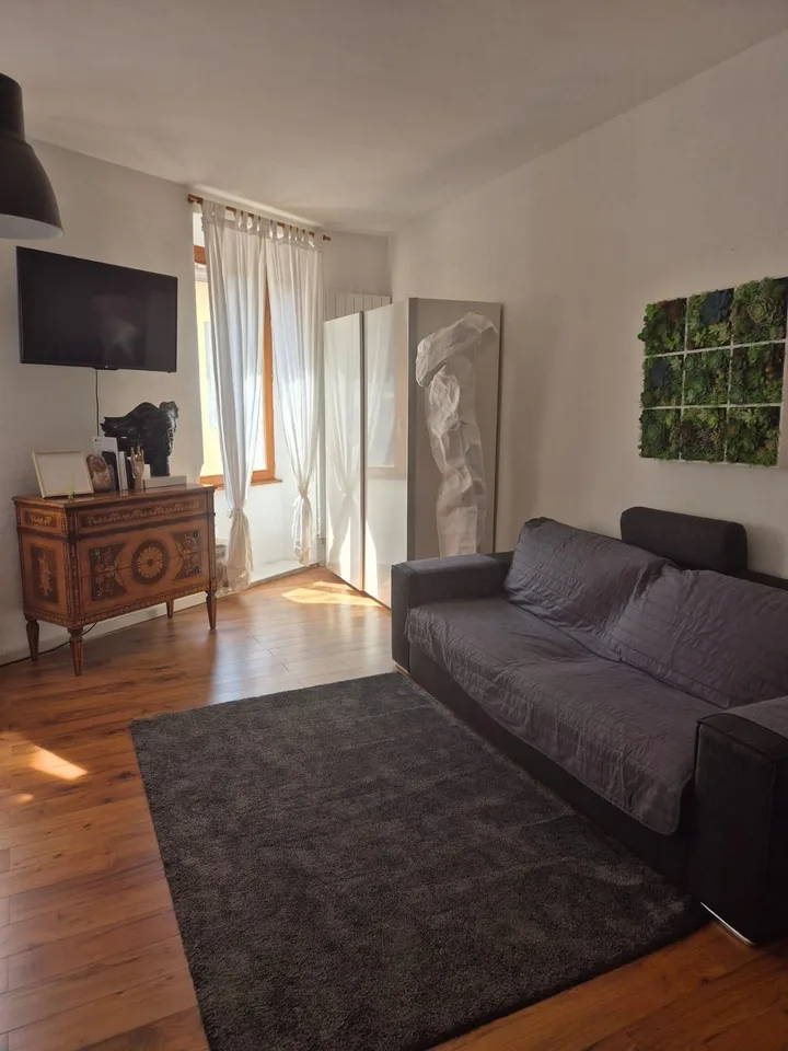 Ampio monolocale arredato a Massagno