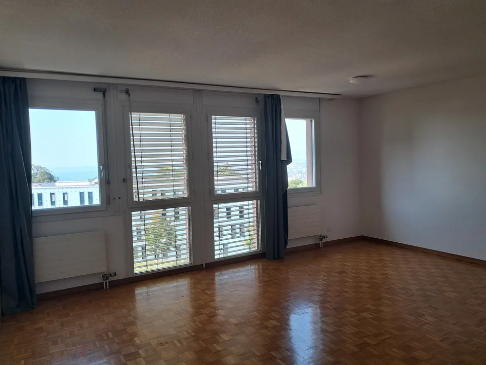 Appartement 1.5 pièces avec cuisine équipée