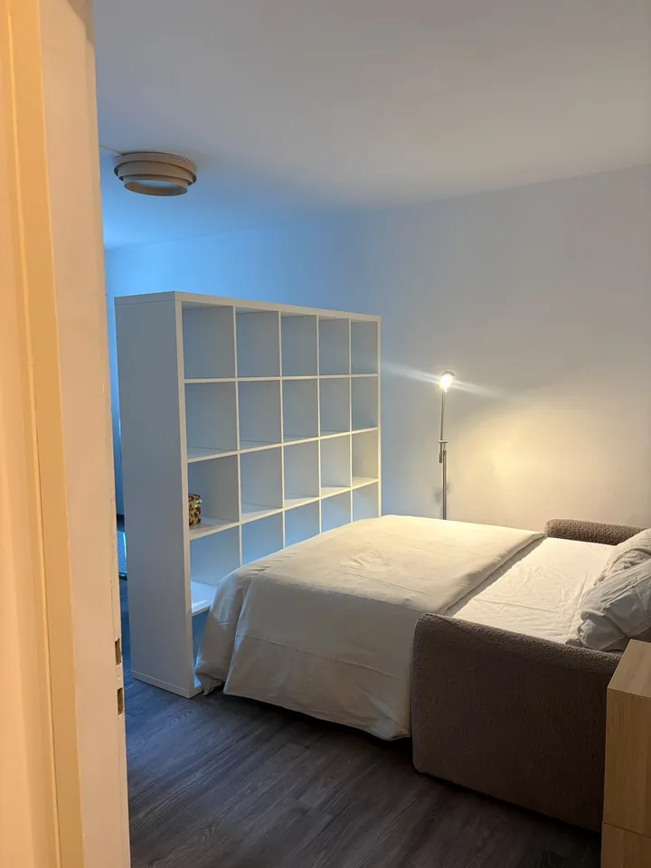 A louer magnifique 1,5 pièce rénové et meublé de 37 m2 dans appartement .