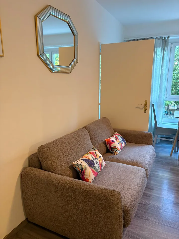 A louer magnifique 1,5 pièce rénové et meublé de 37 m2 dans appartement .