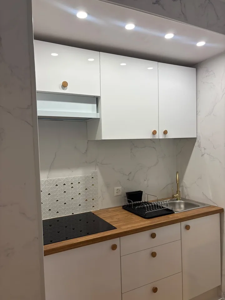 A louer magnifique 1,5 pièce rénové et meublé de 37 m2 dans appartement .