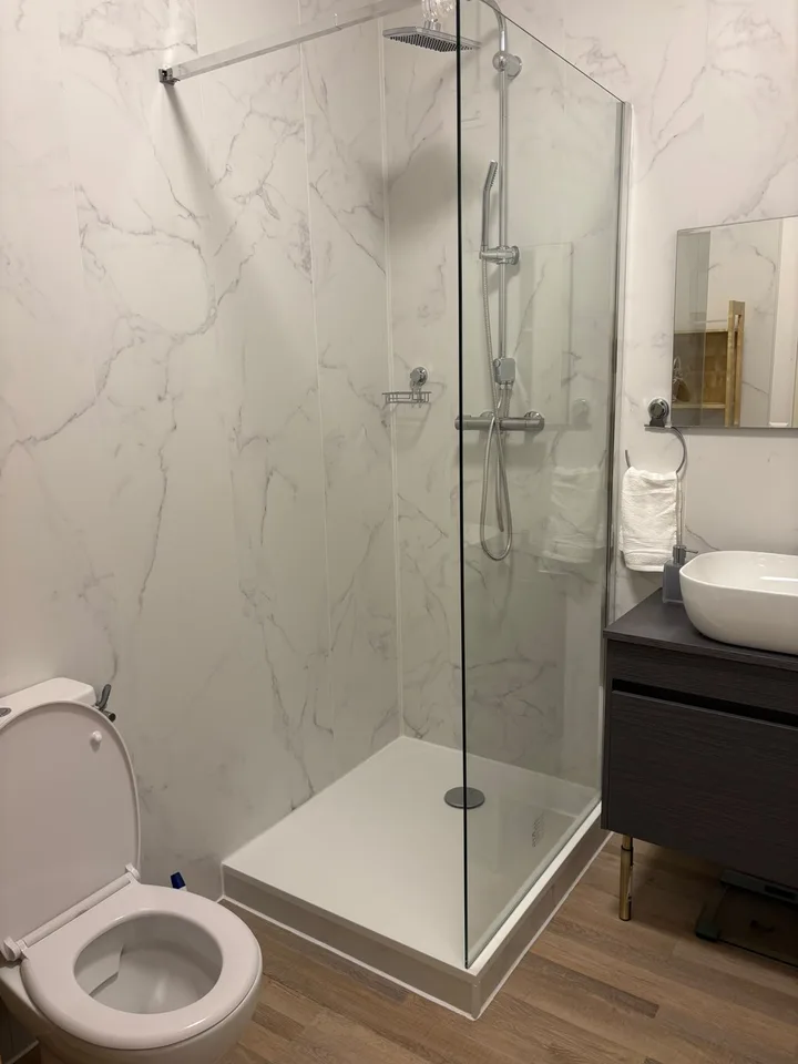 A louer magnifique 1,5 pièce rénové et meublé de 37 m2 dans appartement .
