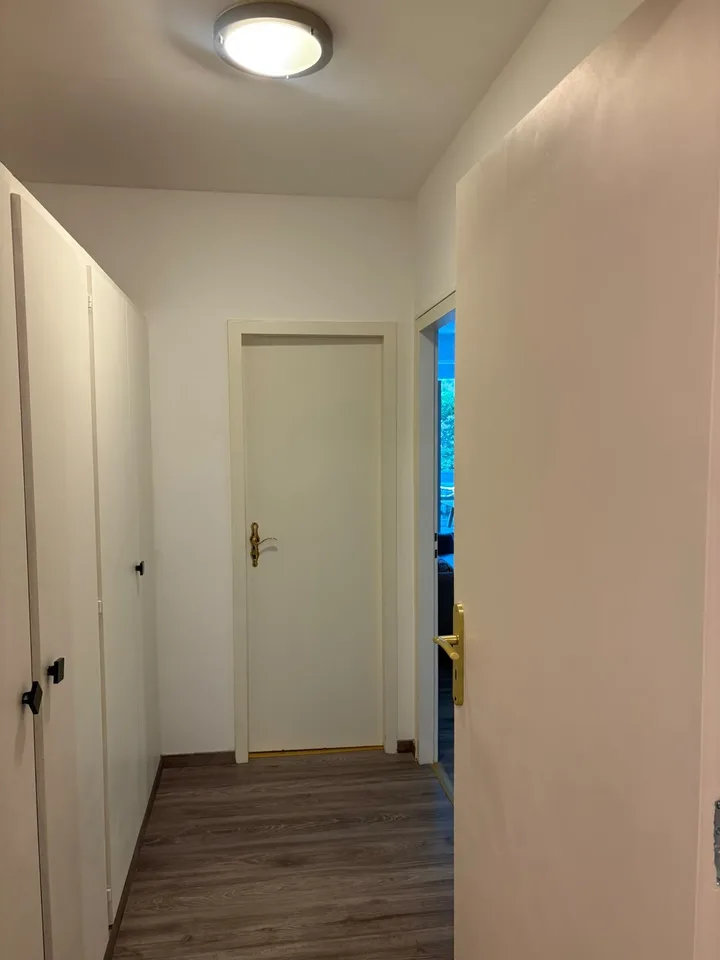 A louer magnifique 1,5 pièce rénové et meublé de 37 m2 dans appartement .