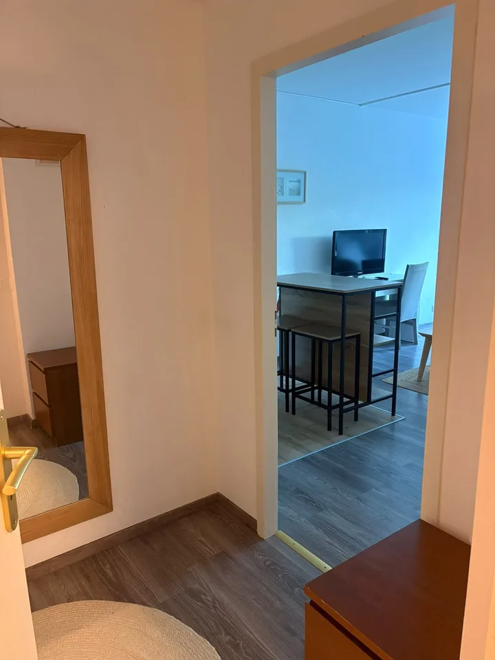 A louer magnifique 1,5 pièce rénové et meublé de 37 m2 dans appartement .