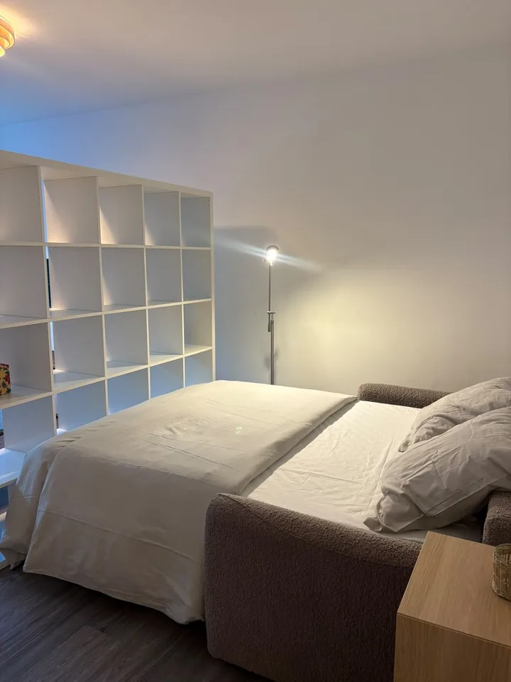 A louer magnifique 1,5 pièce rénové et meublé de 37 m2 dans appartement .