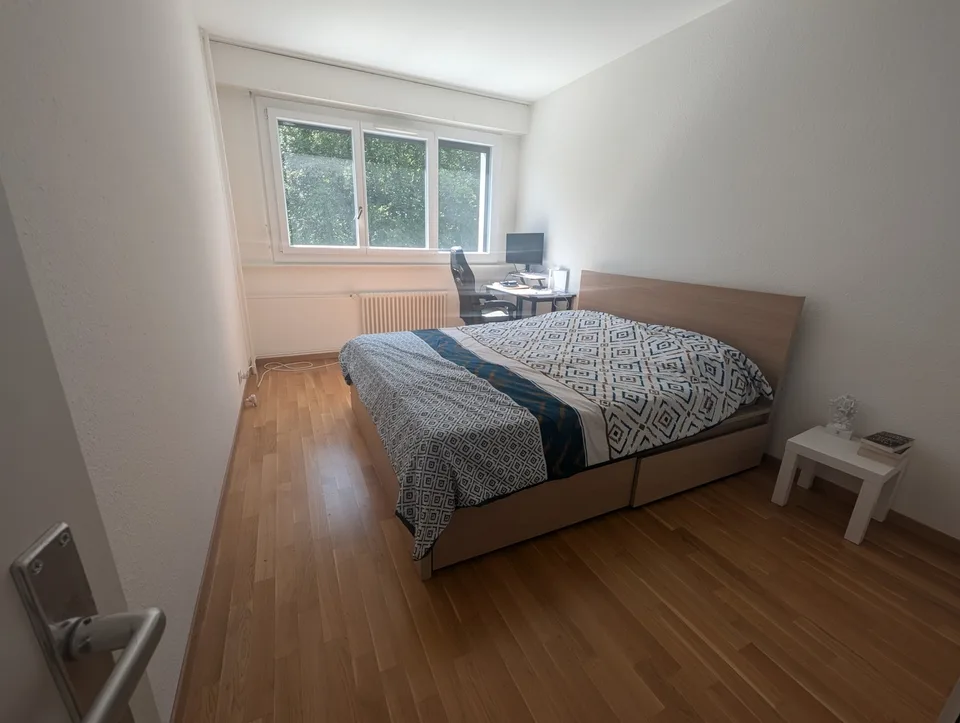 Fully furnished apartment for sublease, Geneva
