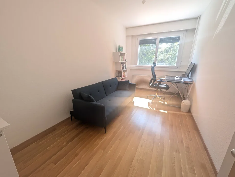 Fully furnished apartment for sublease, Geneva