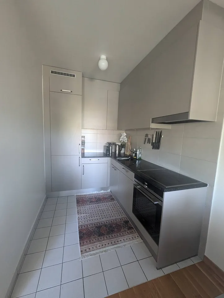 Fully furnished apartment for sublease, Geneva