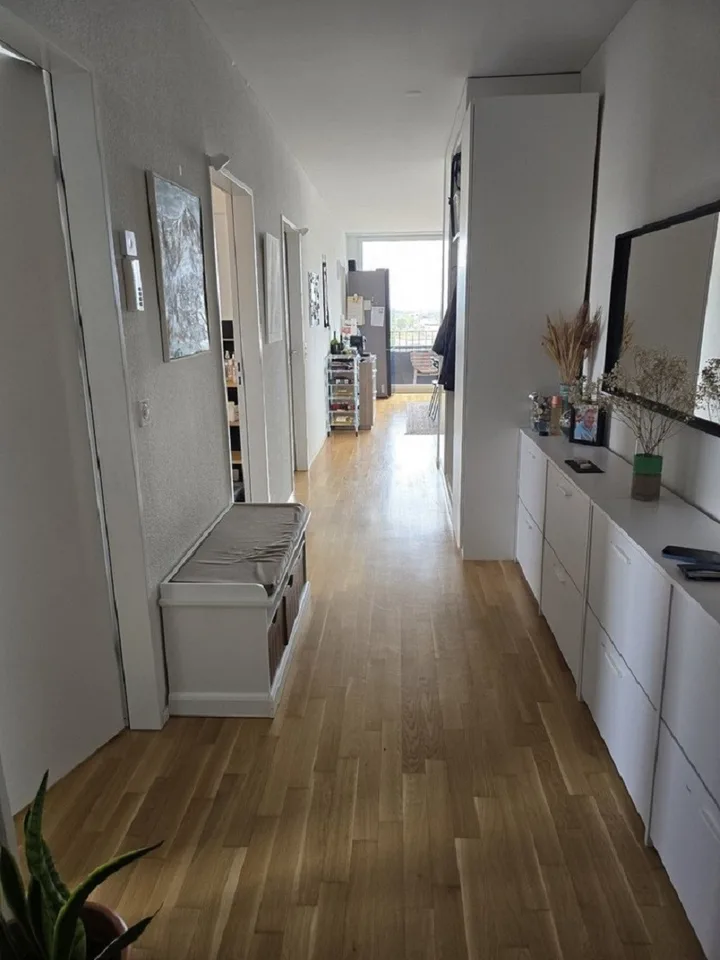 2,5 Zimmer Wohnung in Uster mit balkon