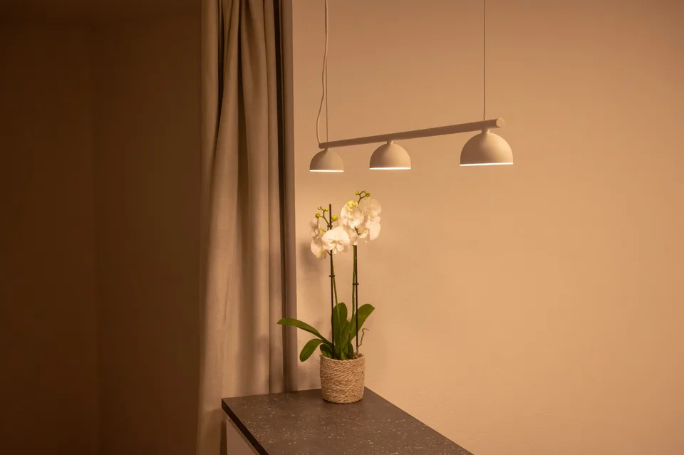 Studio meublé rénové 2026, loggia, parking, cave // Furnished, renovated, balcony, parking, storage