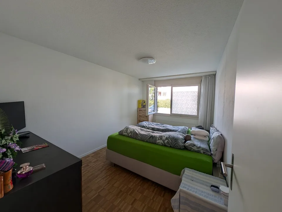 Charming Fully Renovated 3.5-Room Ground-Floor Apartment with Private Garden
