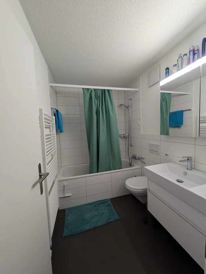 Charming Fully Renovated 3.5-Room Ground-Floor Apartment with Private Garden