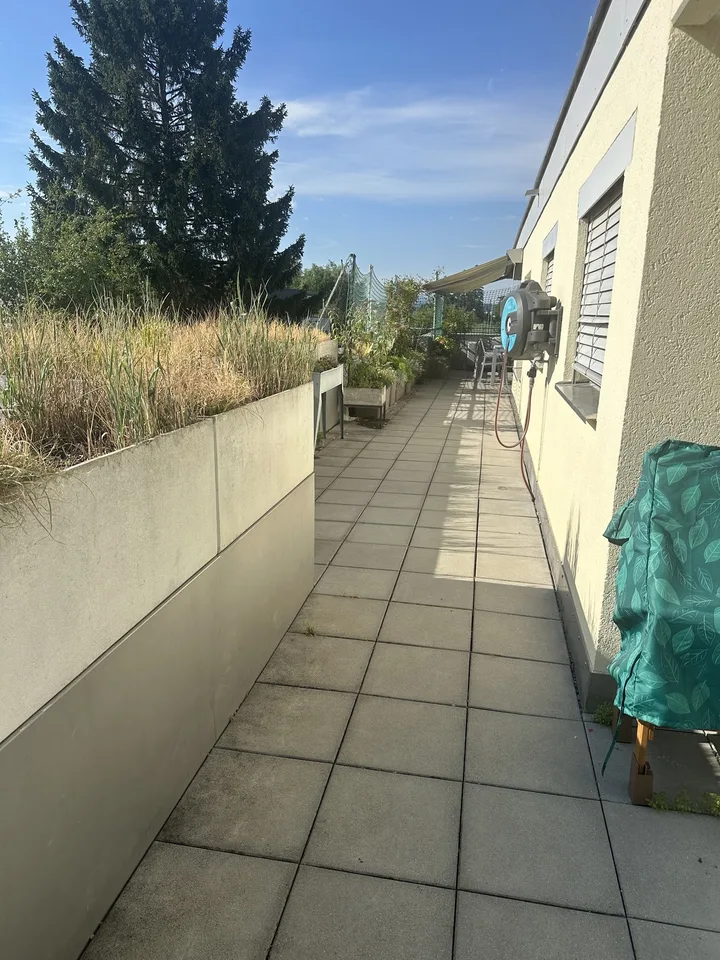 Nachmieter gesucht 7-Zimmer-Wohnung in Hochfelden ZH