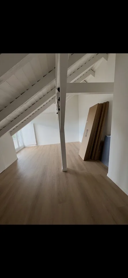 Wunderschöne 3.5-Zimmer-Dachwohnung in Hinwil mit grossem Balkon