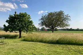 Grosszügiges Bauernhaus mit viel Platz, Garten und Charme:
