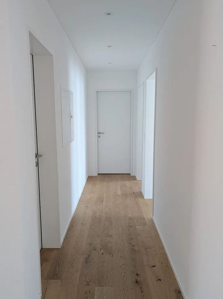 Helle 4.5-Zimmer-Neubauwohnung in Unterägeri mit Balkon, Keller und Garage.