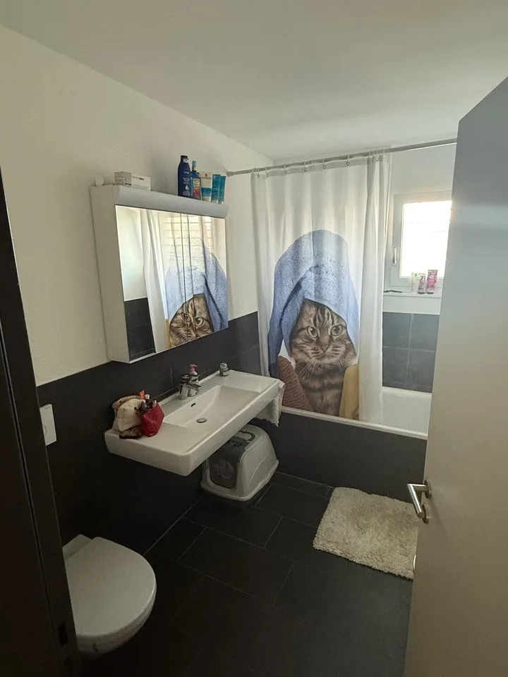 3 1/2-Zimmer Wohnung 2 OG links