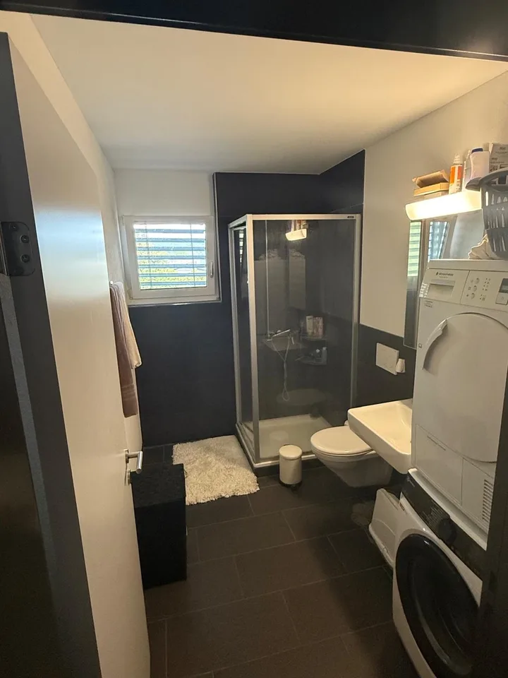 3 1/2-Zimmer Wohnung 2 OG links