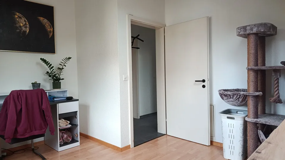 Helle 4½-Zimmer-Dachwohnung mit grosser Fensterfront & gedecktem Balkon