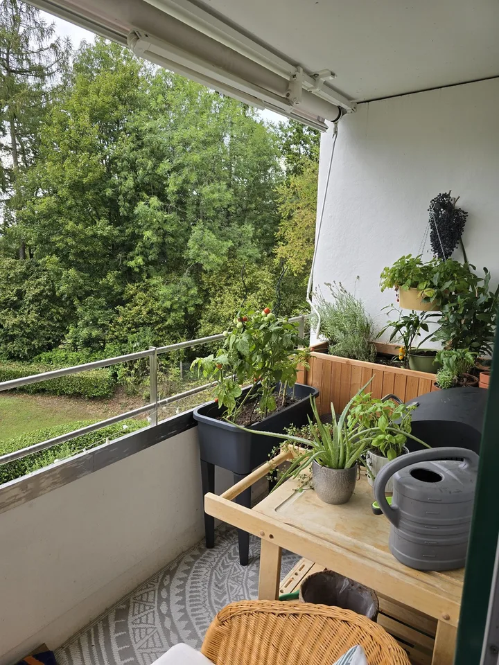 Kreuzbuchrain 10, 6006 Luzern - CHF 1’530 inkl. NK pro Monat