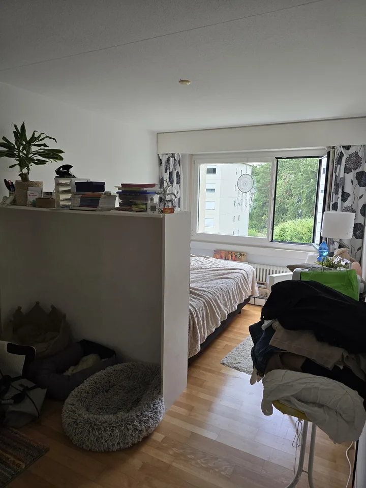 Kreuzbuchrain 10, 6006 Luzern - CHF 1’530 inkl. NK pro Monat