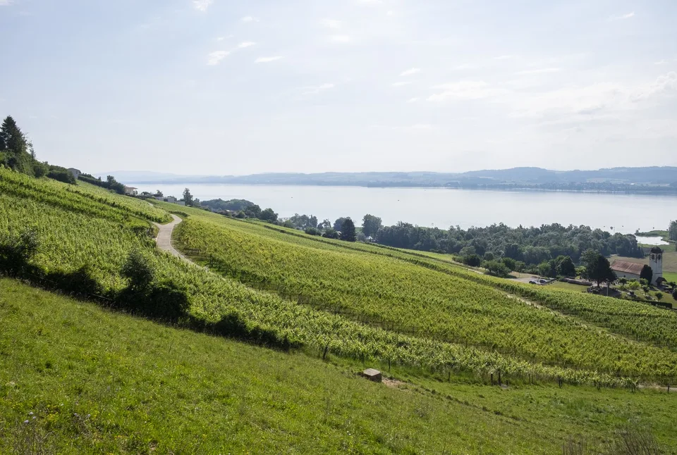 Bellerive 23, 1585 Bellerive - CHF 3’250 inkl. NK pro Monat