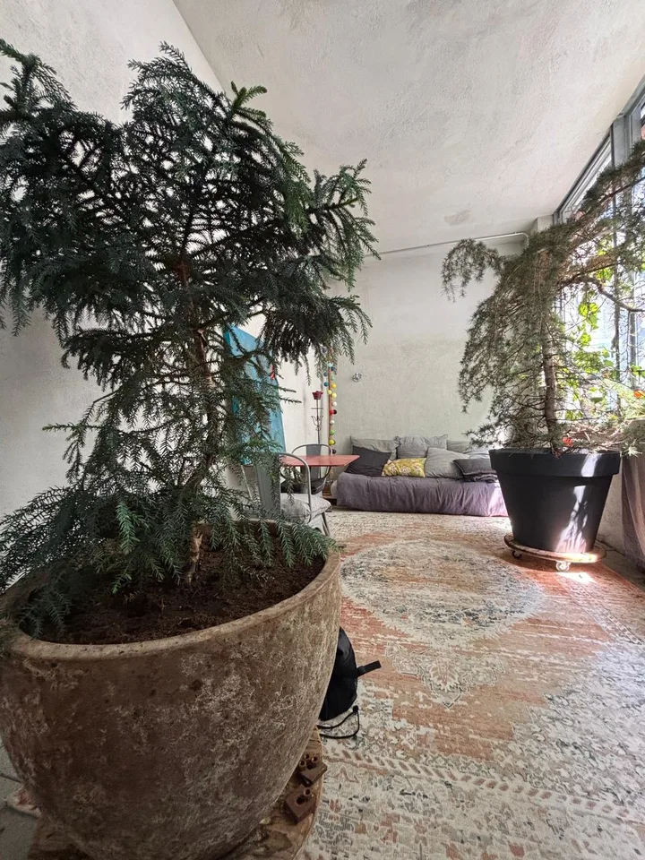 Coole Loft welche befristet vom 17.11.26-13.03.27