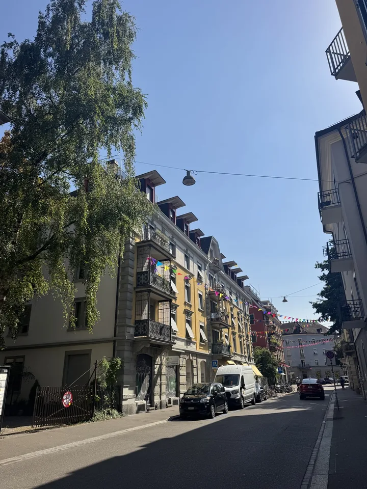 Top Lage: Schöne Dachgeschosswohnung im Herzen von Wiedikon
