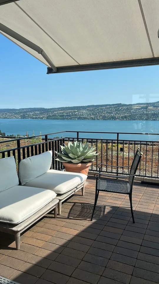 🏡 1-Month Sublet — Penthouse in Horgen with Lake View