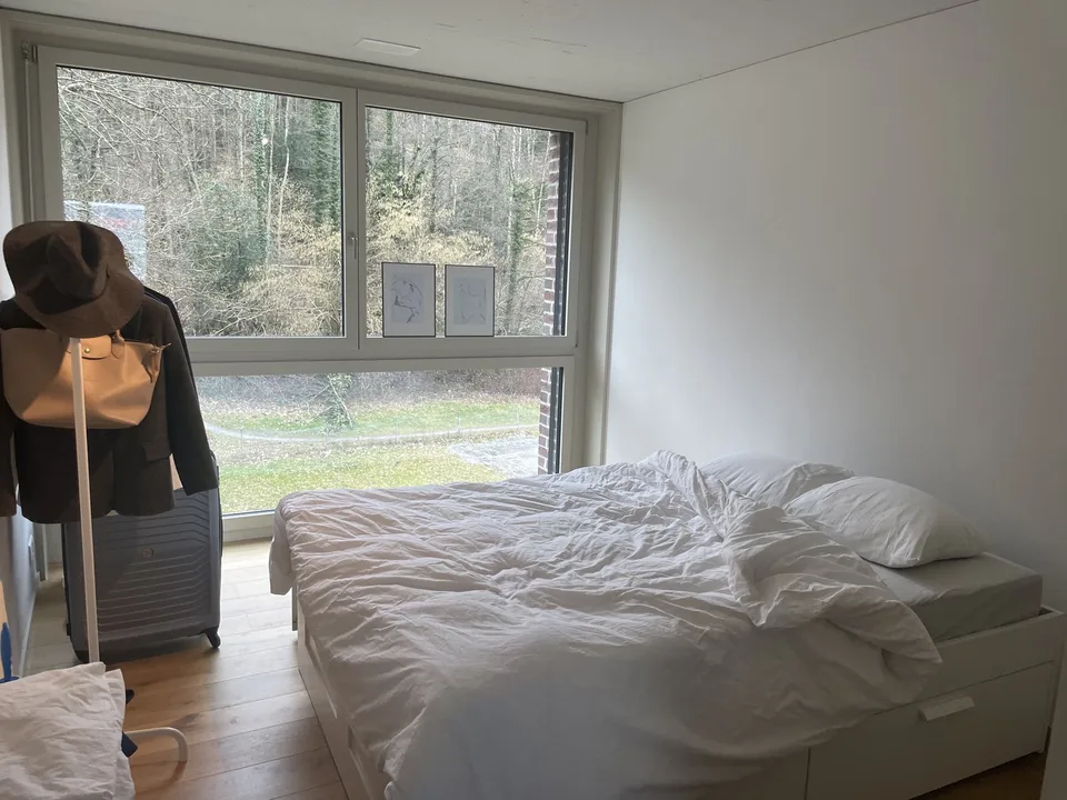 🏡 1-Month Sublet — Penthouse in Horgen with Lake View
