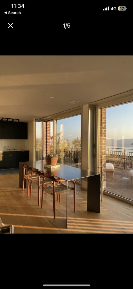 🏡 1-Month Sublet — Penthouse in Horgen with Lake View