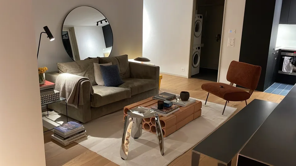 🏡 1-Month Sublet — Penthouse in Horgen with Lake View