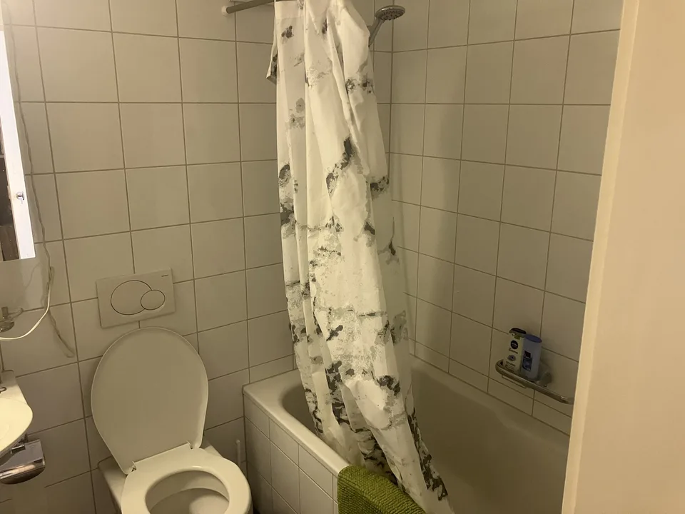 1 zimmer wohnung witikon zh