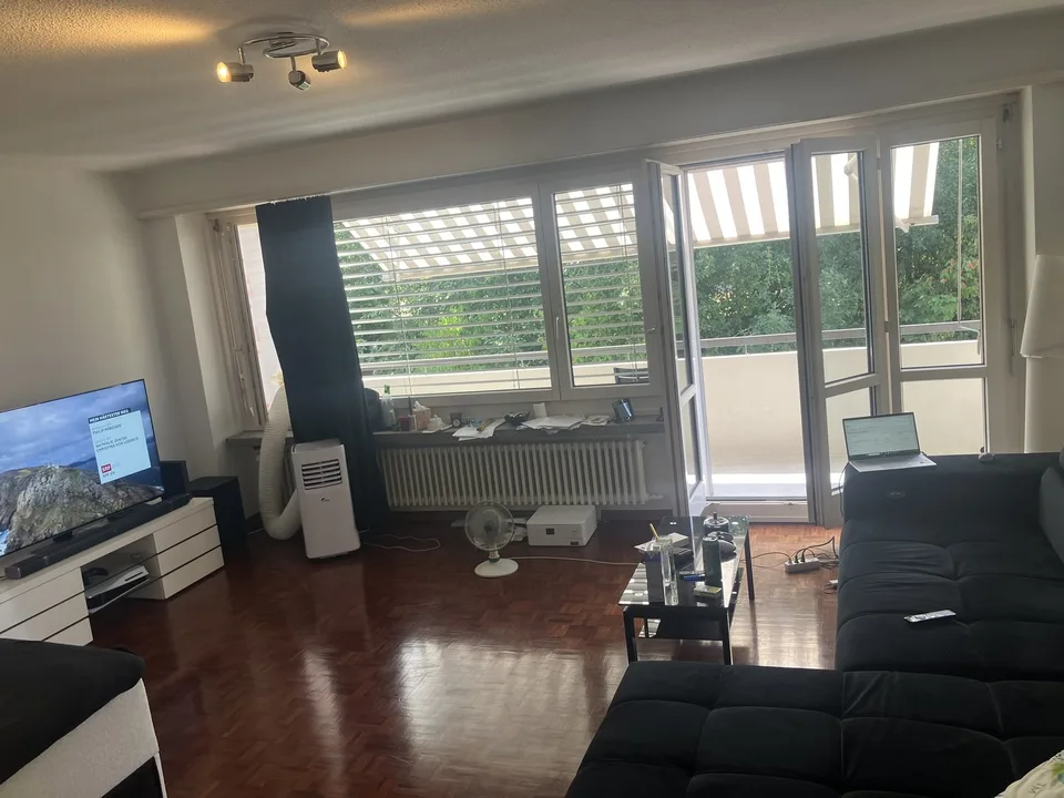1 zimmer wohnung witikon zh