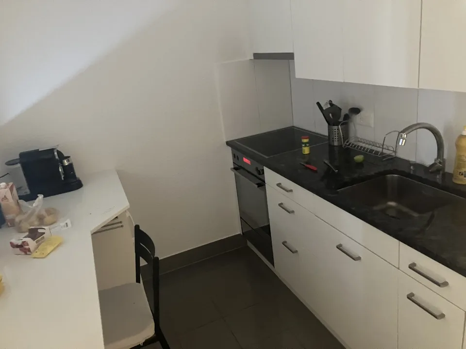 1 zimmer wohnung witikon zh