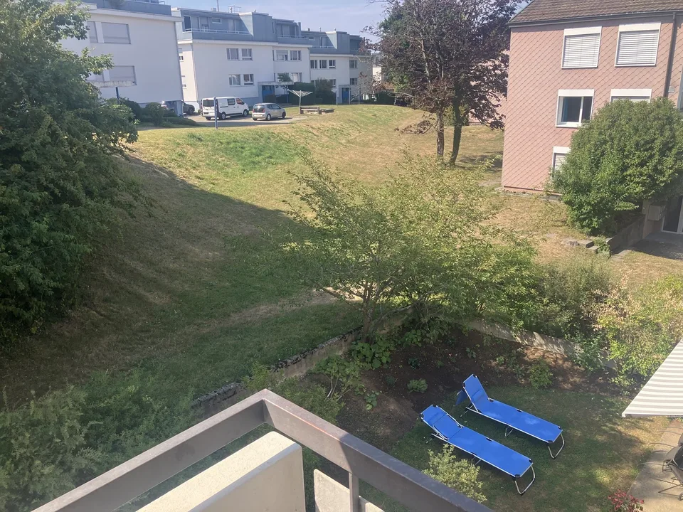 1 zimmer wohnung witikon zh