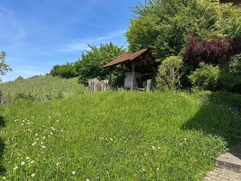 Renovierte 2-Zimmerwohnung in Zürich-Höngg