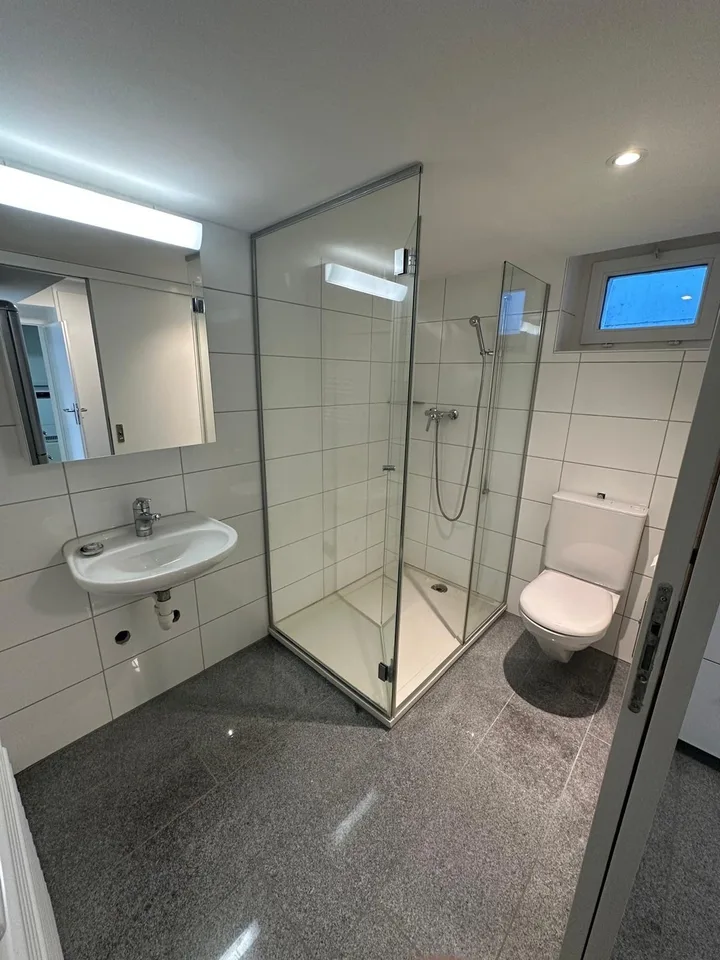 Renovierte 2-Zimmerwohnung in Zürich-Höngg