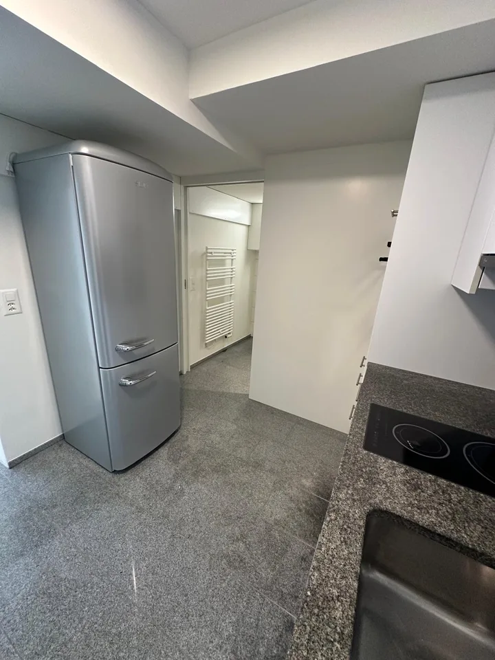 Renovierte 2-Zimmerwohnung in Zürich-Höngg