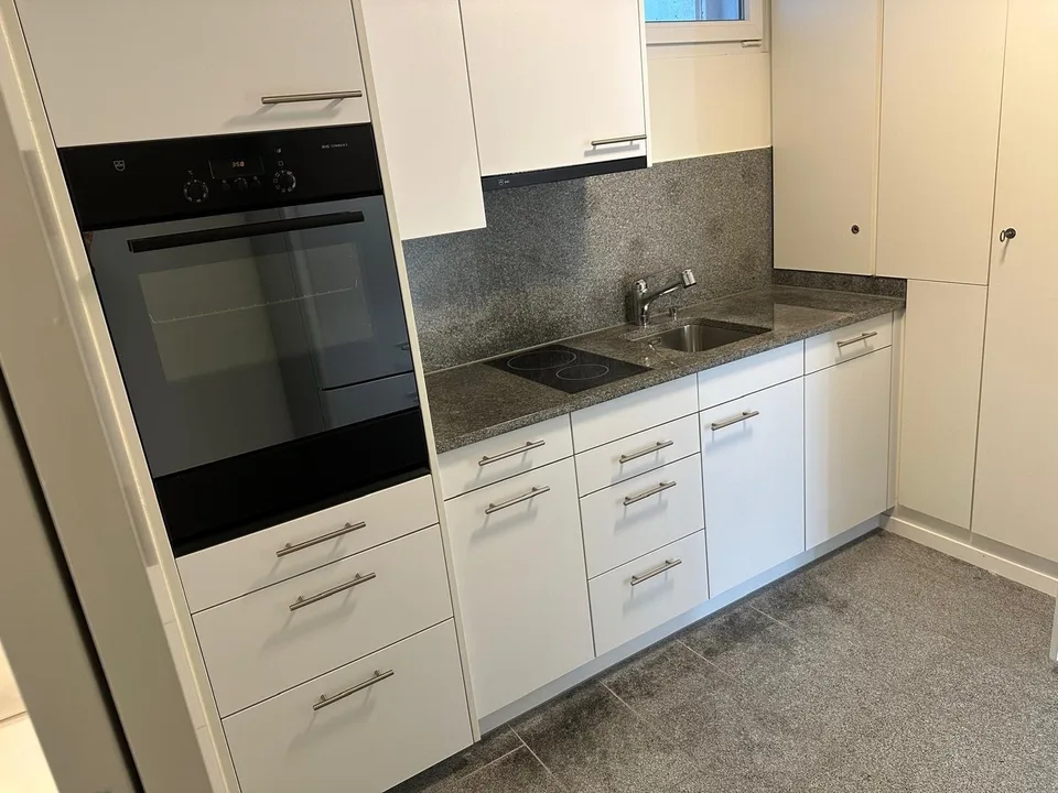 Renovierte 2-Zimmerwohnung in Zürich-Höngg
