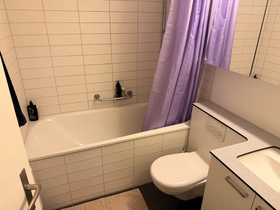 Möblierte Untermiete 2.5 Zi. – Wannerstrasse, Brunaupark (Zürich) // Furnished sublet, 2.5 rooms – Wannerstrasse, Brunaupark (Zurich)